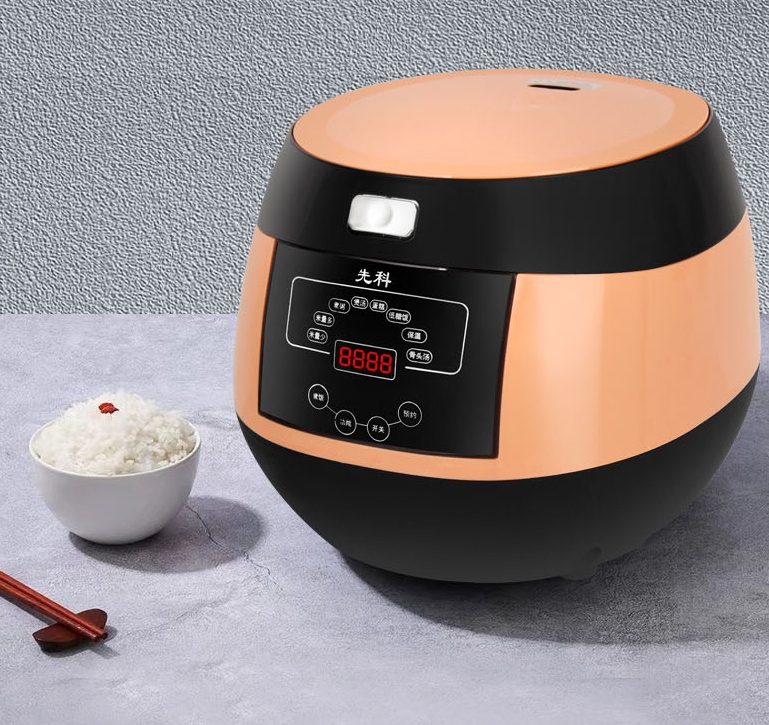 rice cooker 1